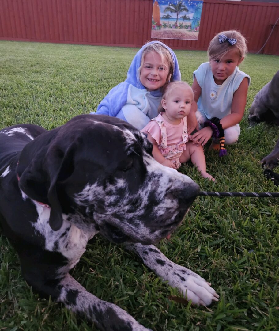 A group of people sitting in the grass with a dog.